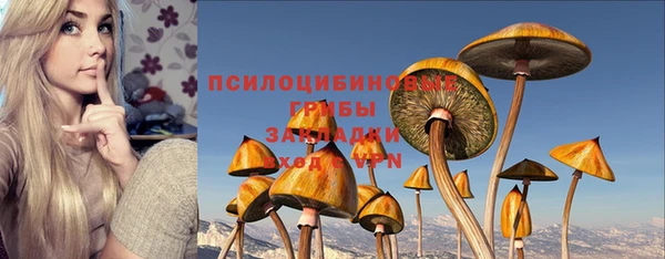 прущая мука Богородск